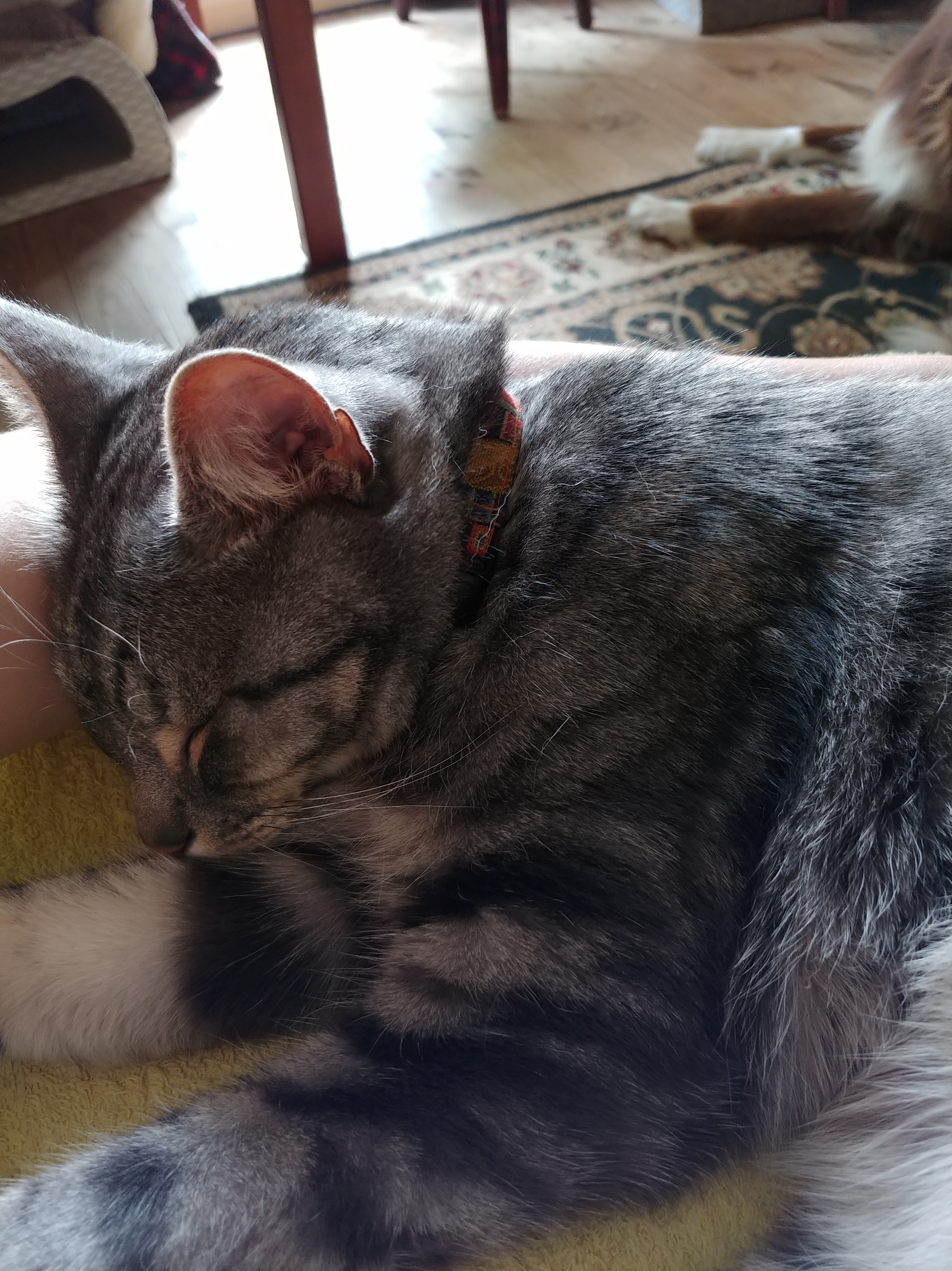 20200207_185506[12078]